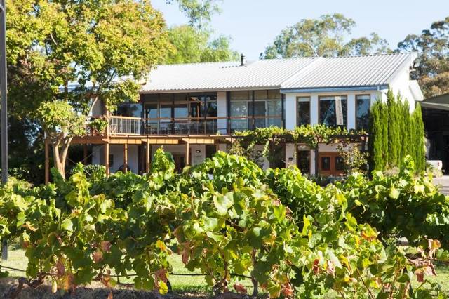 博古酒庄—猎人谷no.1 双红五星酒庄