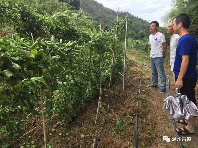 我们一直在行动图片,我们在行动图片,志愿者在行动图片_大山谷图库