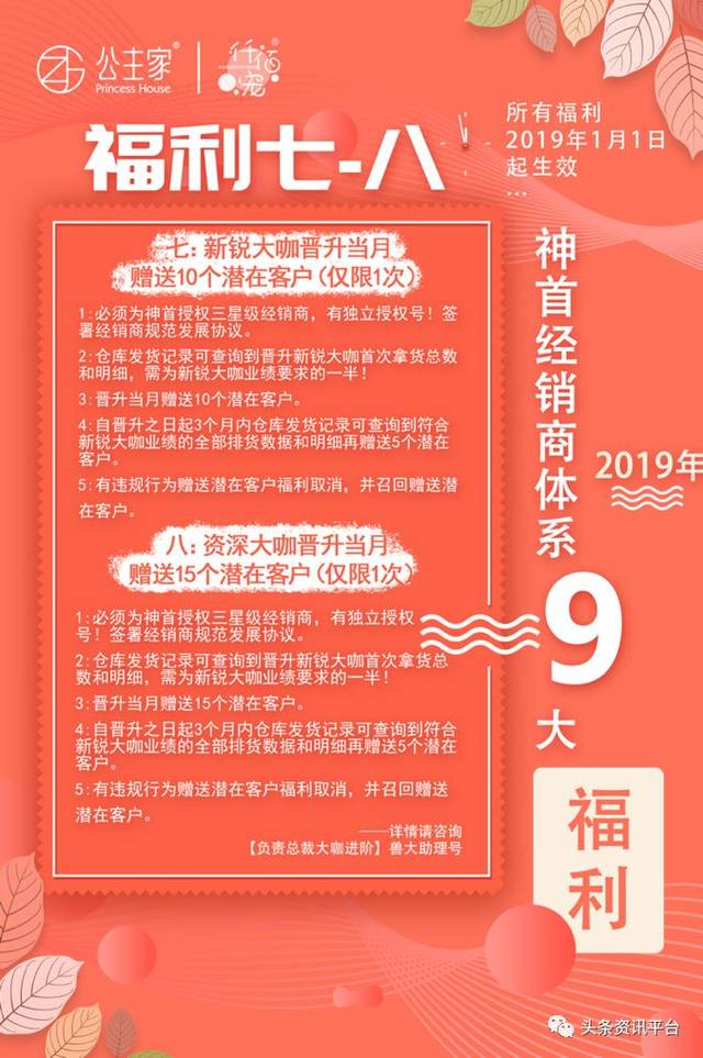 仟佰宠减肥之路迷雾重重,神首集团欺诈之嫌不绝于耳