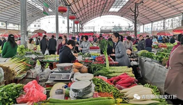 青岛果菜合作社：市场风向标下的转型升级之路