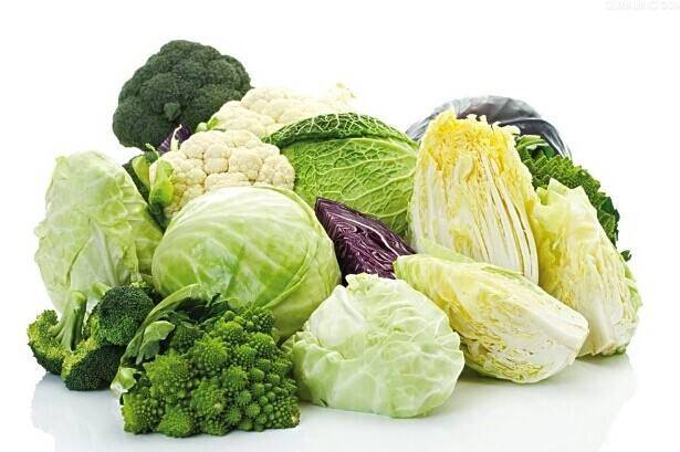 十字花科蔬菜包括花椰菜,甘蓝菜,卷心菜,大白菜,小白菜,青菜,油菜