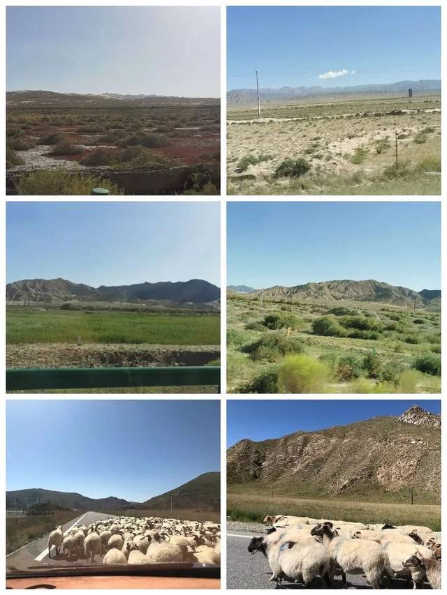 是柴达木盆地四大盐湖之一