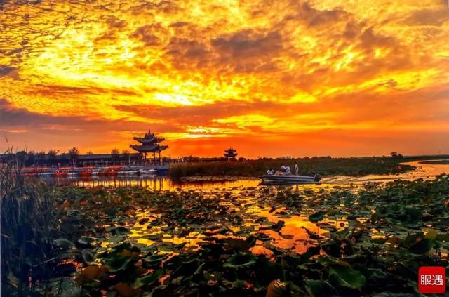 淮阳撤县划区,未来将有17条道路对接周口市区.