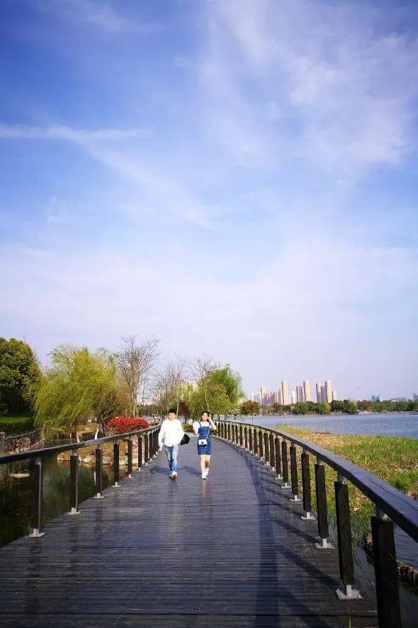 濱湖晨跑免費公園大起底,在清早的陽光中快樂奔跑吧!