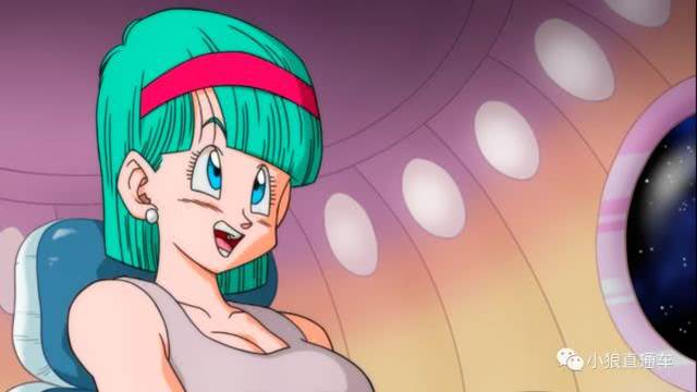 布尔玛大冒险 重生之主宰npc 教师