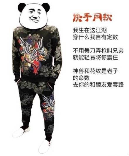 熊猫穿衣服表情包图片图片