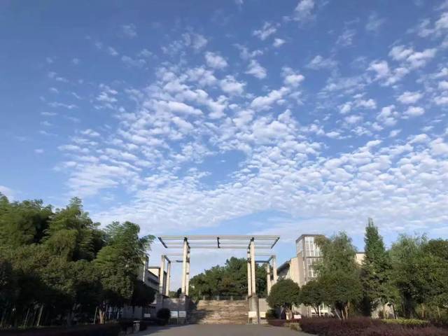微宾中致新生金华市宾虹高级中学2019级新生军训报到须知