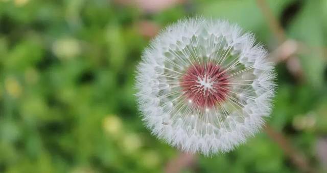 曾國藩:看人長處,幫人難處,記人好處