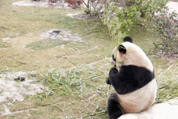 600_400gif 动态图 动图