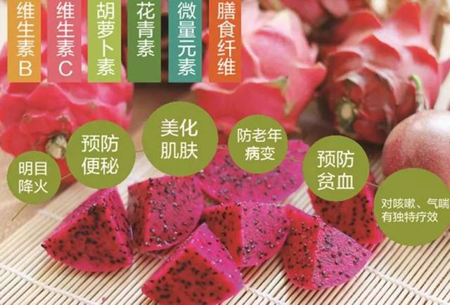 龙潭南庄这个红心火龙果基地火热开摘中!