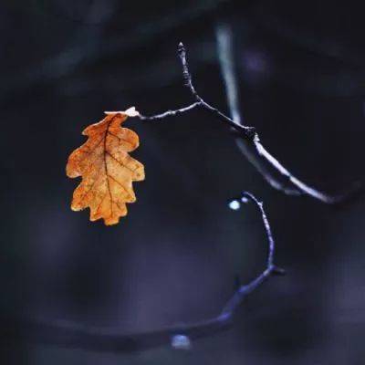 静谧有气质的风景微信头像