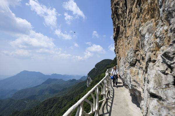 重慶金佛山:喀斯特地貌顯奇觀