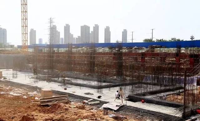 叶集板材市场观察：走进木材的世界
