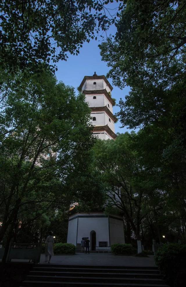 诸暨八大城市公园,航拍图曝光!离你家近吗?