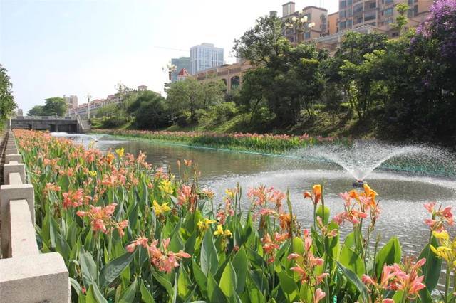 博罗石湾镇:湾区耀眼明珠 千强镇新机遇