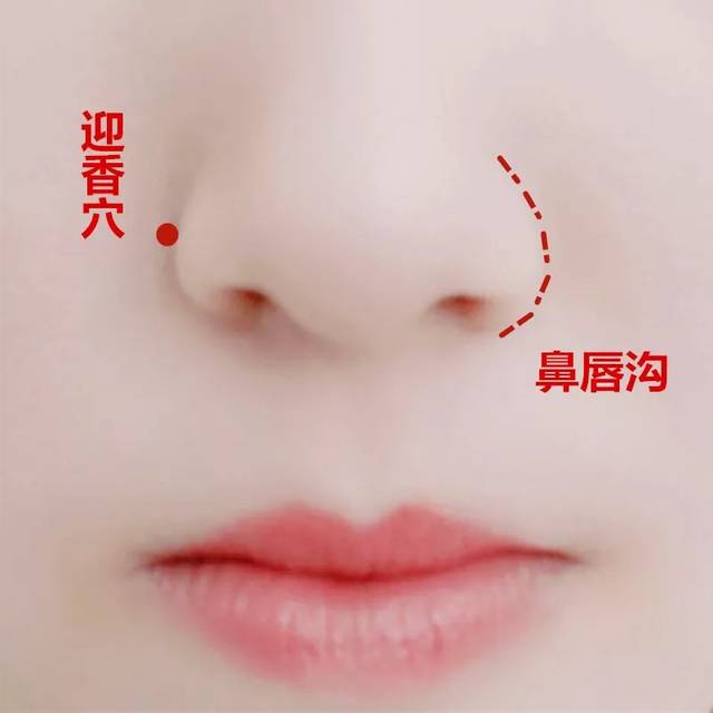 穴位知识 | 十二经脉·手阳明大肠经之迎香穴_手机搜狐网
