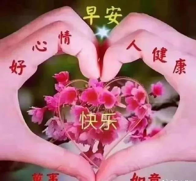 朋友圈很好看的早安祝福問候語,最美早上好圖片表情帶字