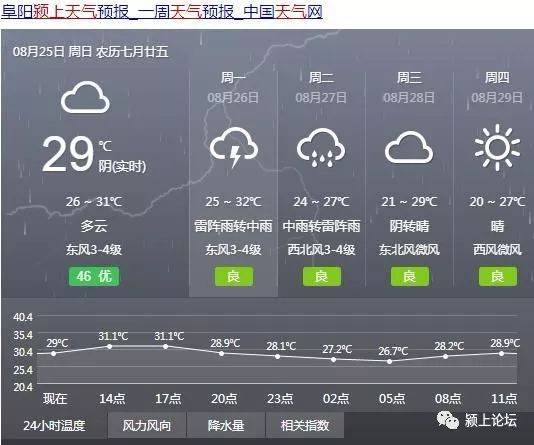 阜阳的城市脉动：最新资讯一览