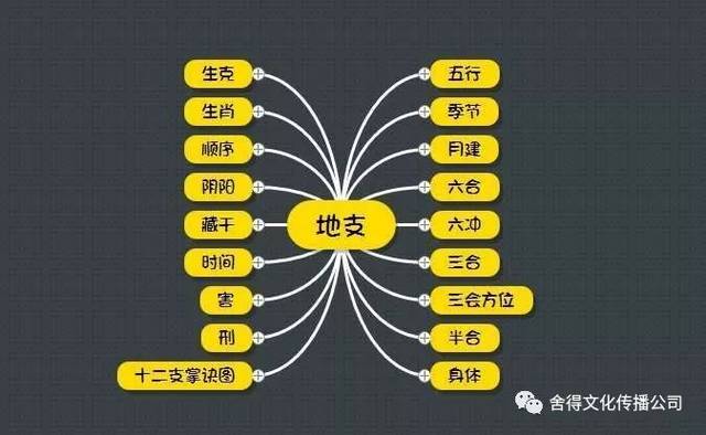 【十二地支】十二地支深度解析