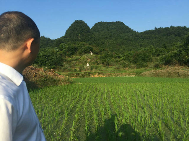 觀榜穴,土星為榜,木星乃是貴人;這個地方後龍來脈較遠,入首巒頭為複道