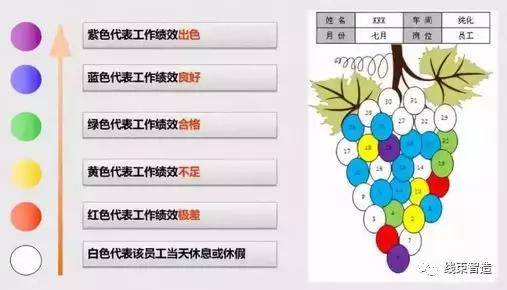 车间员工绩效管理方案葡萄图