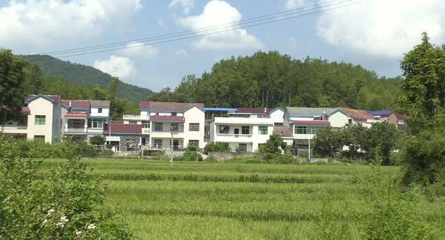 点赞罗田 | 匡河镇:兴建小厕所 改善大民生_手机搜狐网