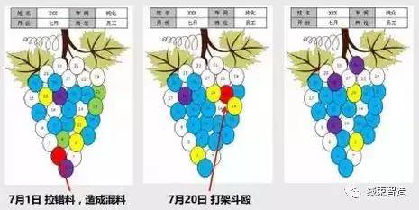 车间员工绩效管理方案葡萄图
