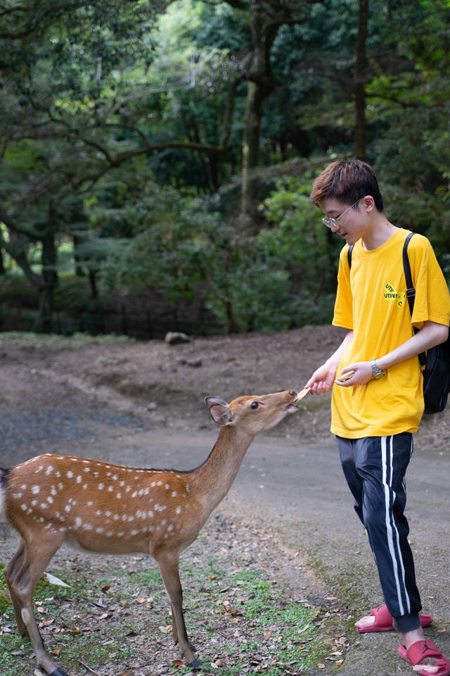 魔兽世界怀旧服开服虎牙专区像过年一样热闹暴雪又亏大了