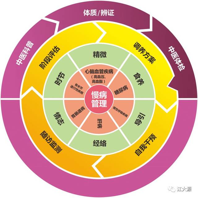 上海健康管理咨询：从看懂体检报告到重建生活方式的全流程指南