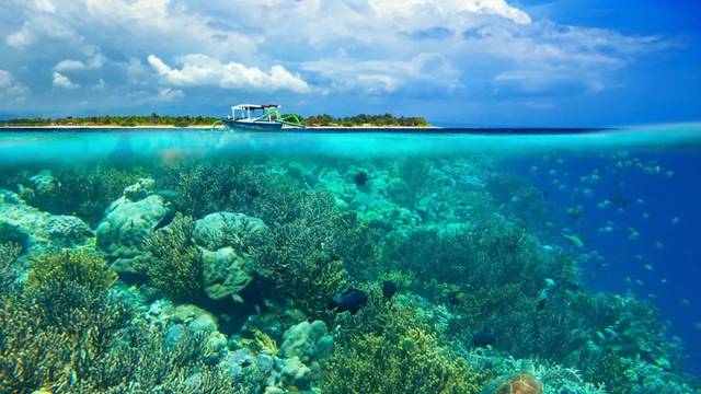 自然 最深的海:珊瑚海 位于太平洋 平均深度2243米