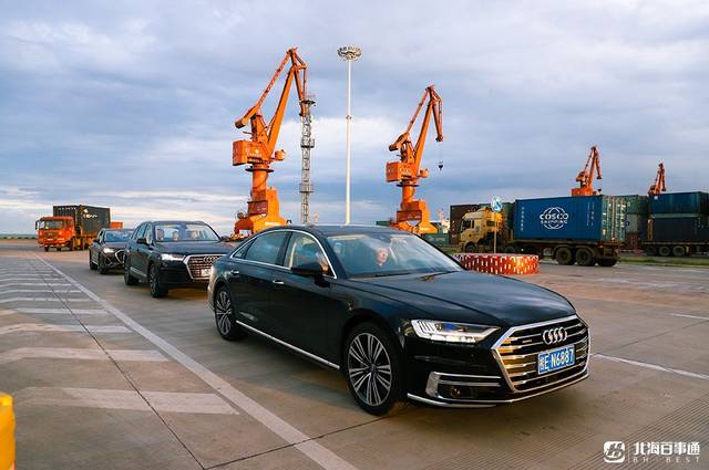 本周六免费赶海挖螺拉地笼抓螃蟹百万豪车接送