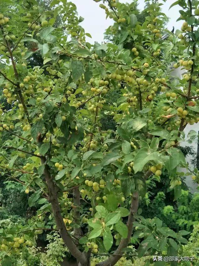 林七水库和水库上的水闸