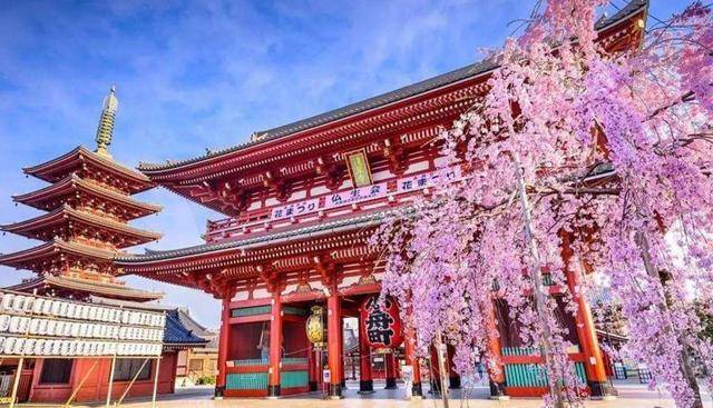 HL日本商业投资移民,日本经营管理签证的项目