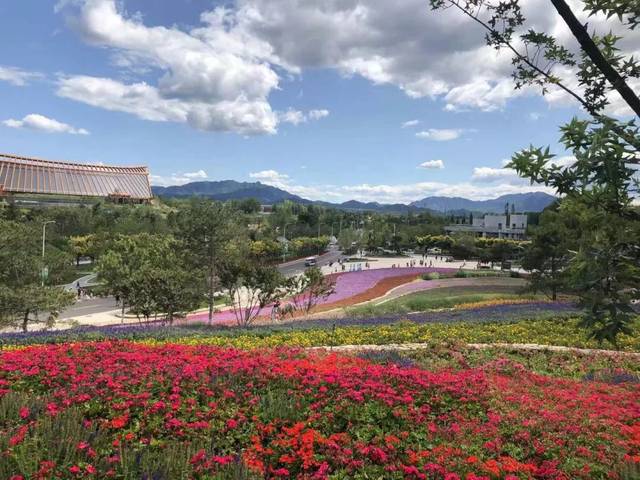 北方茂林公司 孟