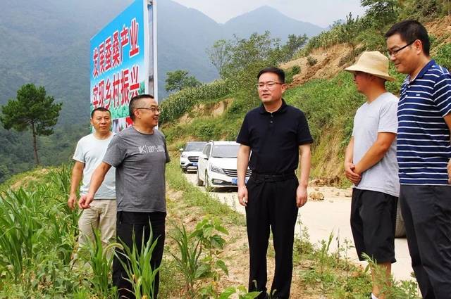 镇巴县长叶稳太到镇调研督导脱贫攻坚工作,强调了这些.