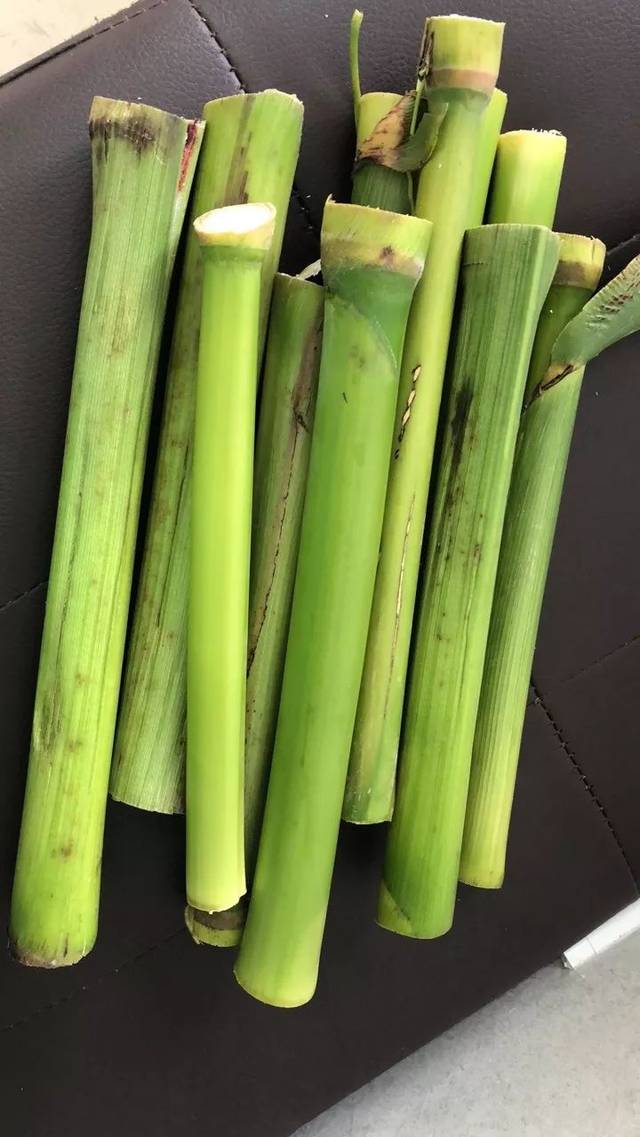 记忆中吃过甜粟杆的海盐人,是不是都上年纪了?