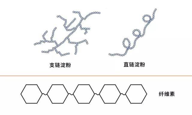 多糖主要有澱粉,纖維素和糖原等,一般沒有甜味.