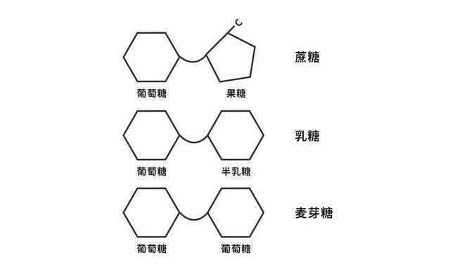 组成多糖的环,有的队伍组织严密,排得整整齐齐,形成一条直线