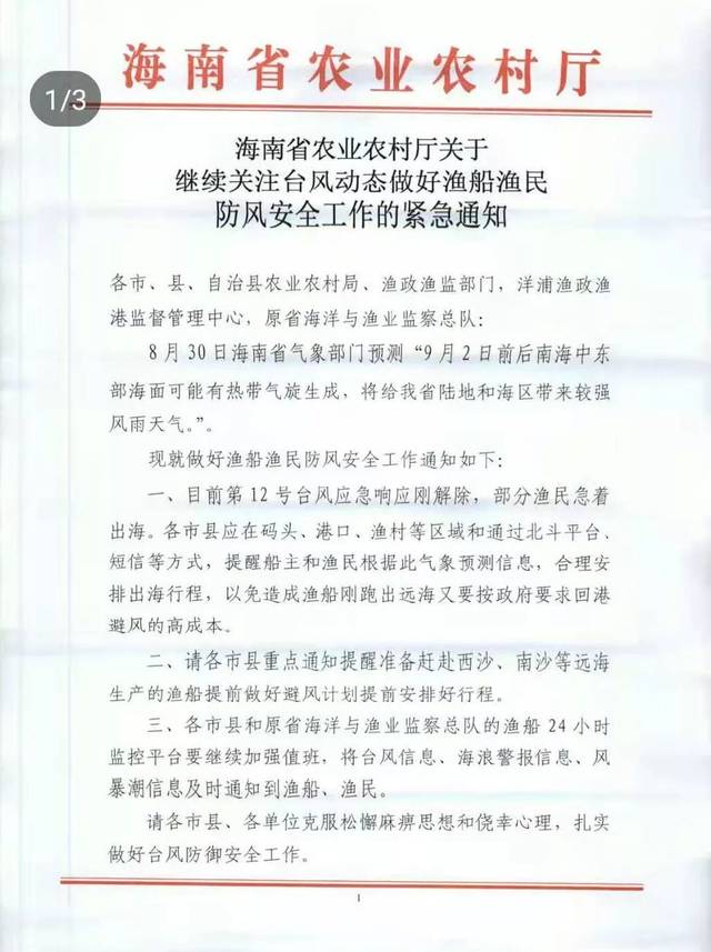 海口渔具市场悄然兴起,开启垂钓新风尚