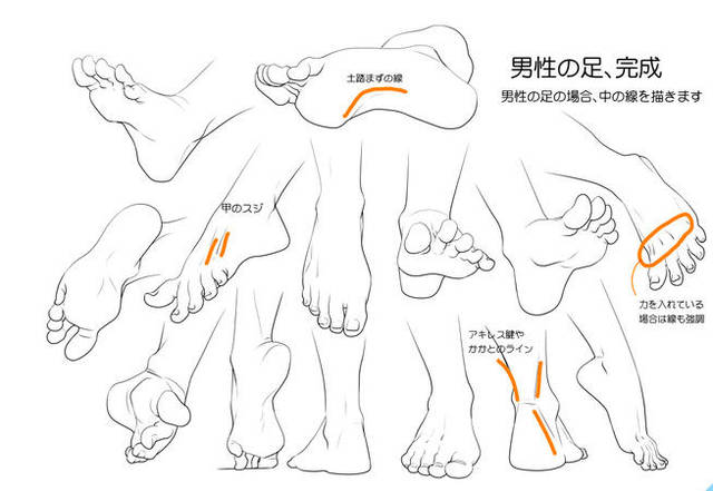动漫人物的脚怎么画?脚的各个角度的不同画法教程!