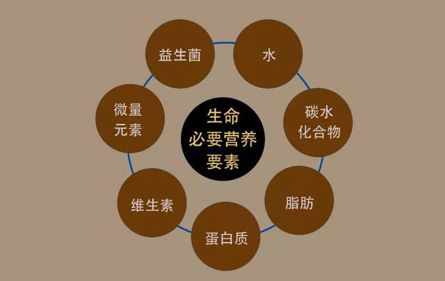 人体维持生命必需的7大要素,普洱茶完全具备