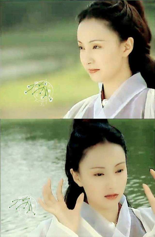 一生有个"小龙女"就够了,陶虹演活了四大不同类型的角色_手机搜狐网