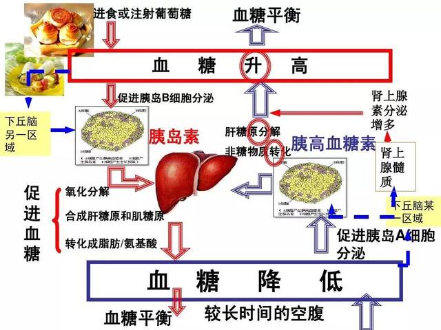 糖尿病患者: 39 mmol/l (70 mg/dl)2天内足月新生儿 1