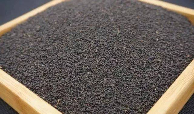 虫屎茶,中国的猫屎咖啡.