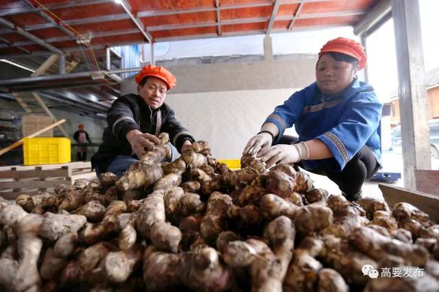 农产品产地直供:连接田间与餐桌的新桥梁