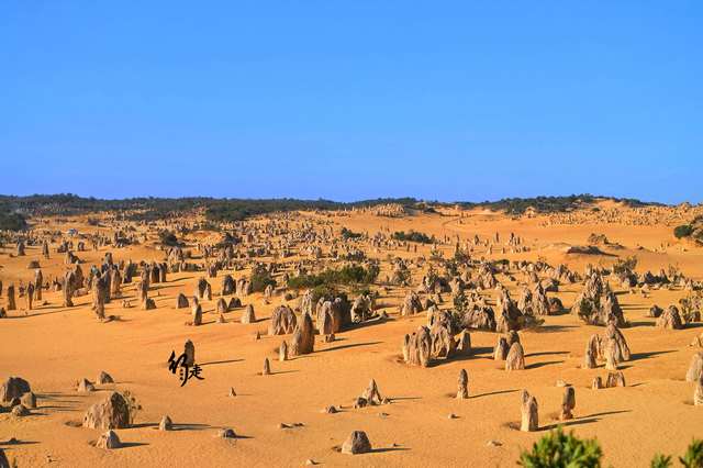 沙漠石林离奇失踪牙齿串—诡异的牙签之谜