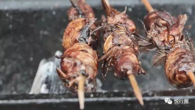 大火烤制外皮酥脆,文火慢煎内部,形成外酥里嫩的口感.