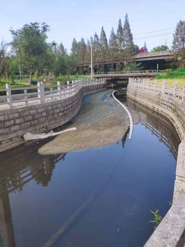 温州鹿城区的的河道水质为何又"灰头土脸"?