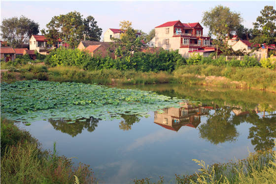 鹿邑贾滩镇打造田园综合体描绘乡村新画卷