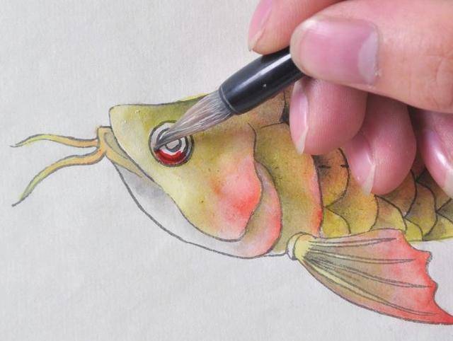 一步步学习工笔金龙鱼的画法及染色,简单易画